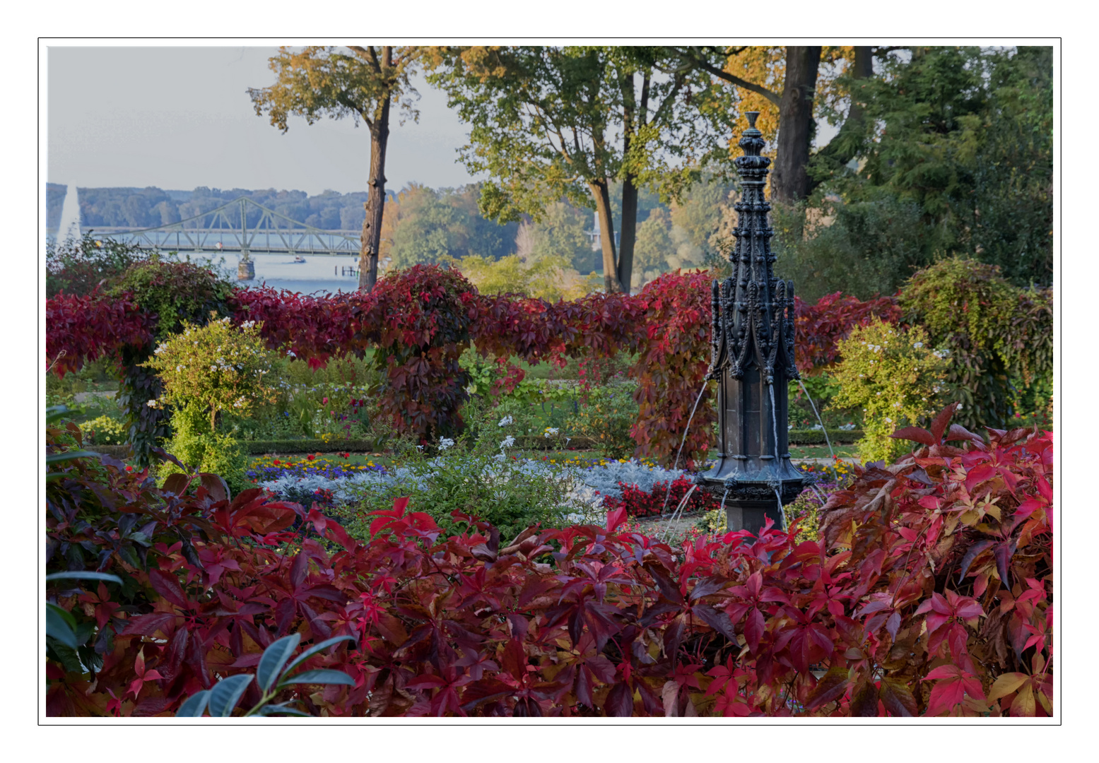 Potsdam - Indian Summer im Park Babelsberg