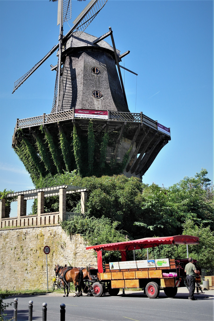 Potsdam Park Sans souci Mühle mit Mahlwerk und Aussicht