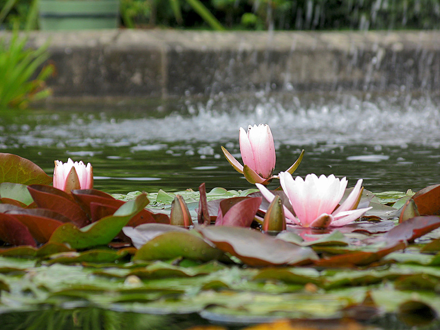 Potsdam, Park Sanssouci