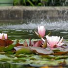 Potsdam, Park Sanssouci