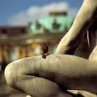 Potsdam Sanssouci aus der Vogelperspektive