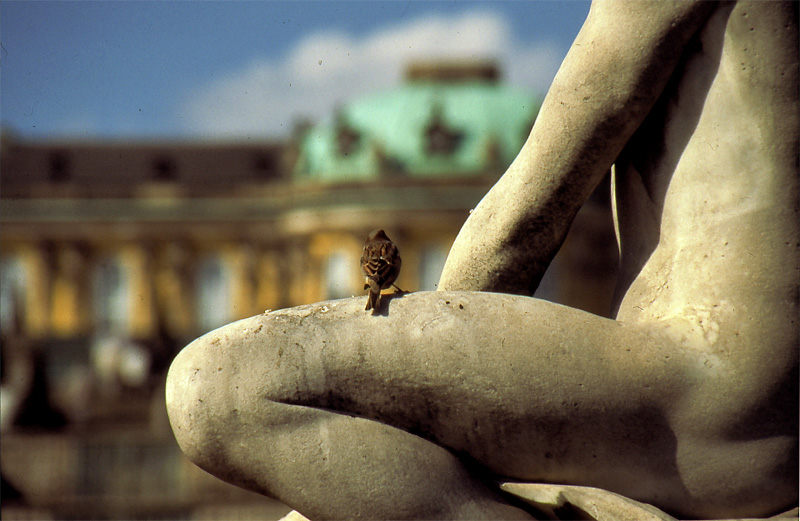 Potsdam Sanssouci aus der Vogelperspektive