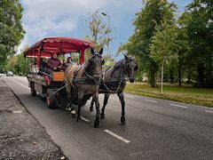 Potsdam Schlosspark 2022