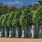 Potsdam - Schlosspark Sanssouci -