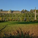  Potsdam - Schlosspark Sanssouci