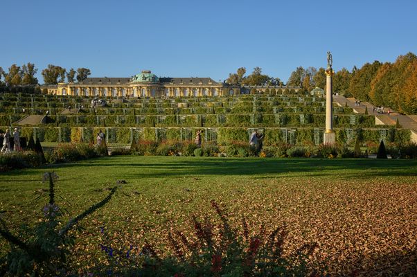  Potsdam - Schlosspark Sanssouci