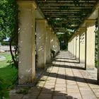 Potsdam - Schlosspark Sanssouci -