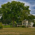 Potsdam - Schlosspark Sanssouci -