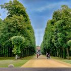 Potsdam - Schlosspark Sanssouci -