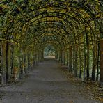 POTSDAM - Schloßpark Sanssouci -