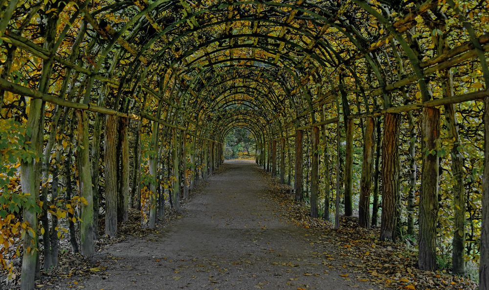 POTSDAM - Schloßpark Sanssouci -