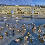 Potsdam - Schlosspark Sanssouci -