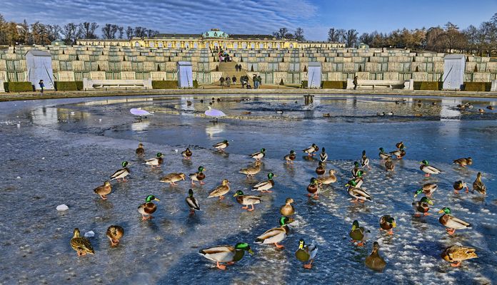 Potsdam - Schlosspark Sanssouci -