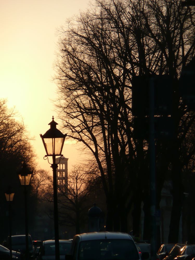 Potsdam - Straßenlaternen im winterlichen Nachmittagsgegenlicht