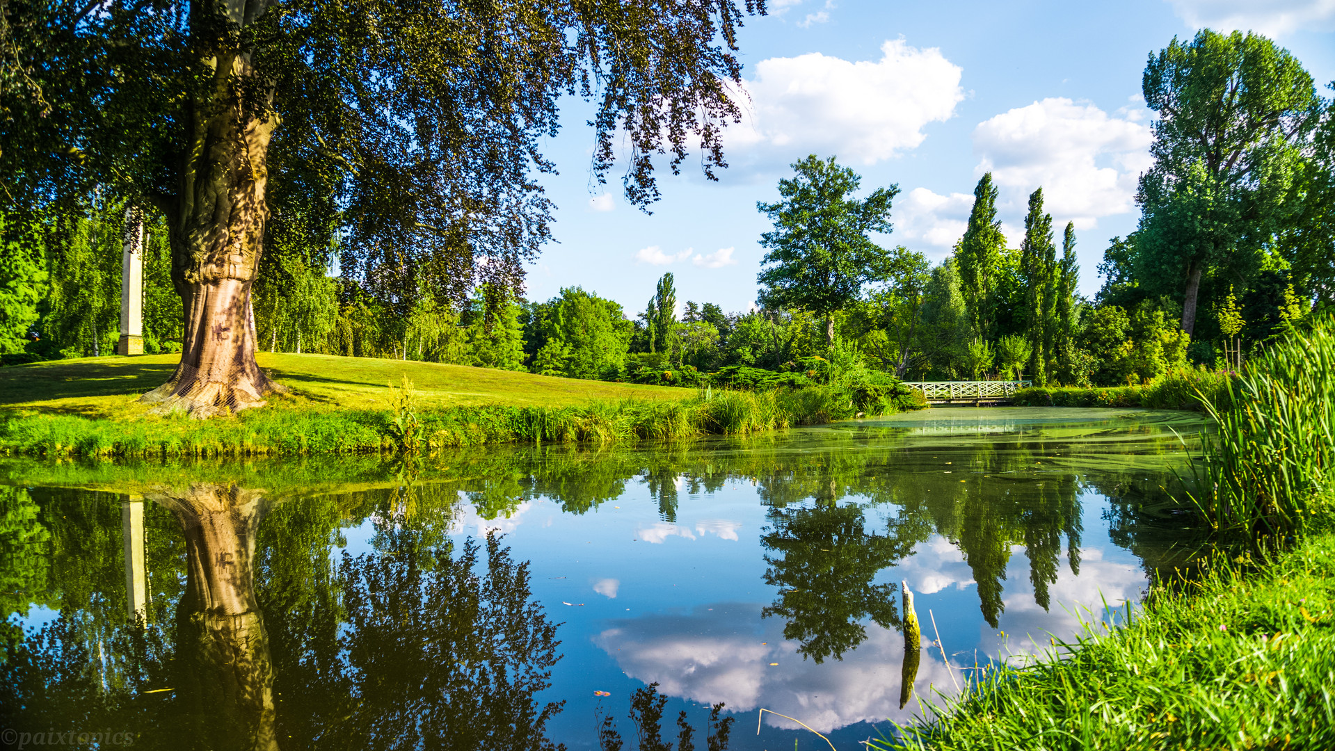 Potsdamer Garten