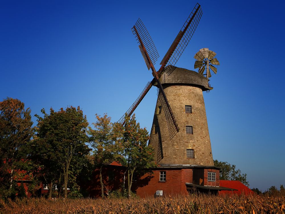 Pott Mühle in Petershagen