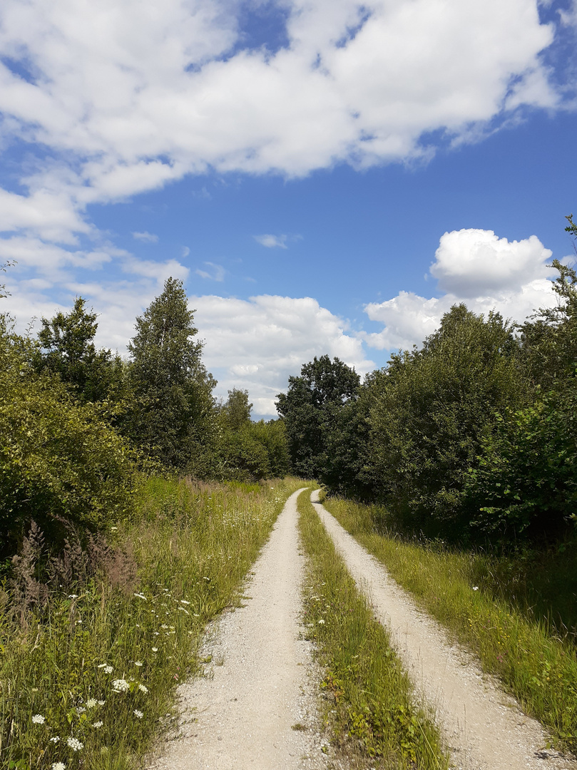 Pottlandweg, Duinger Wald