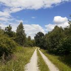 Pottlandweg, Duinger Wald