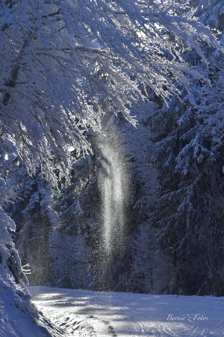 Poudre blanche