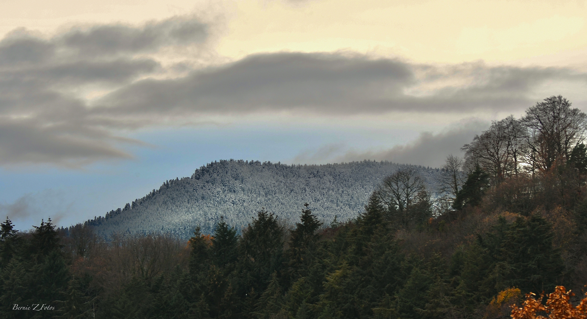 Poudre blanche sur les cimes