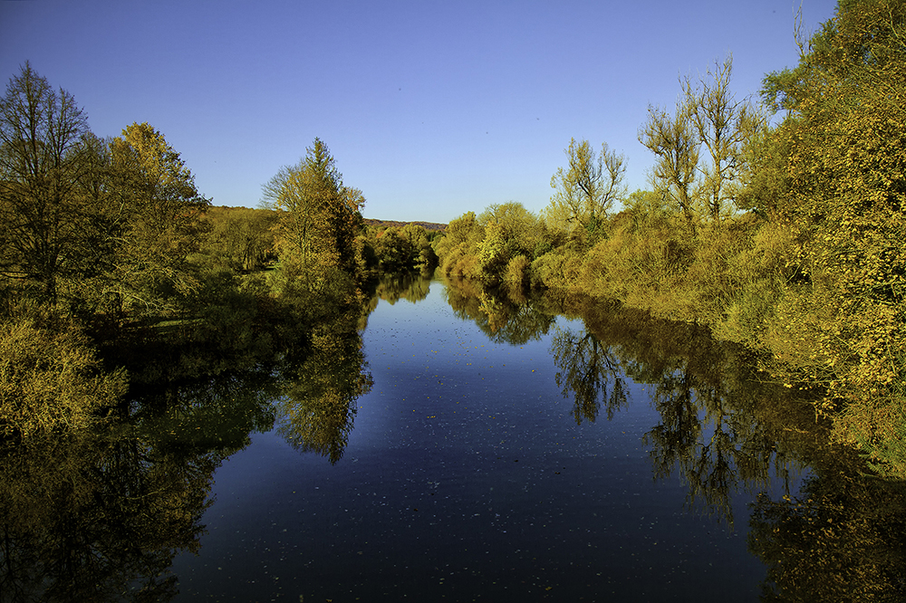 Poudre d'or