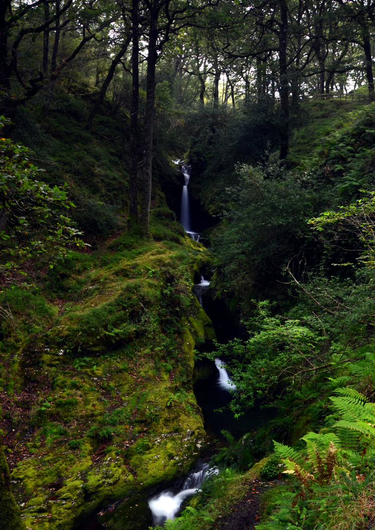 Poulanass Waterfall