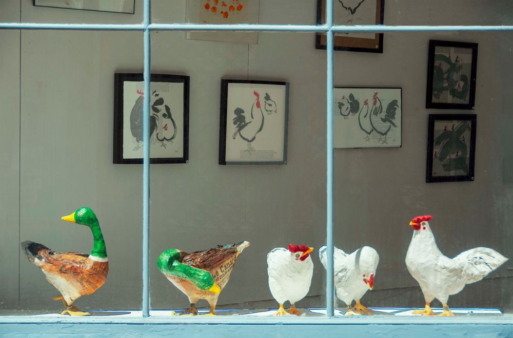 poules en vitrine