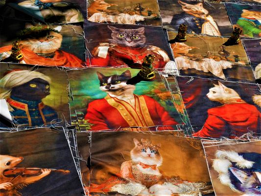 Pour ceux qui aiment les chats à la brocante de Béziers