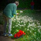 Pour changer du brin de muguet....je vous offre des fleurs