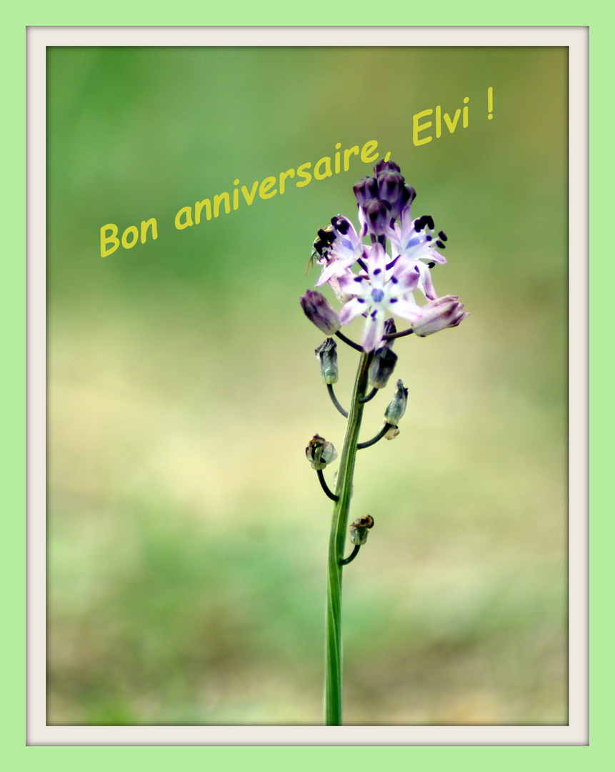 Pour Elvi Photo Et Image Divers La Nature Simplement Nature Images Fotocommunity Pour Elvi Photo Et Image Divers La Nature Simplement Nature Images Fotocommunity