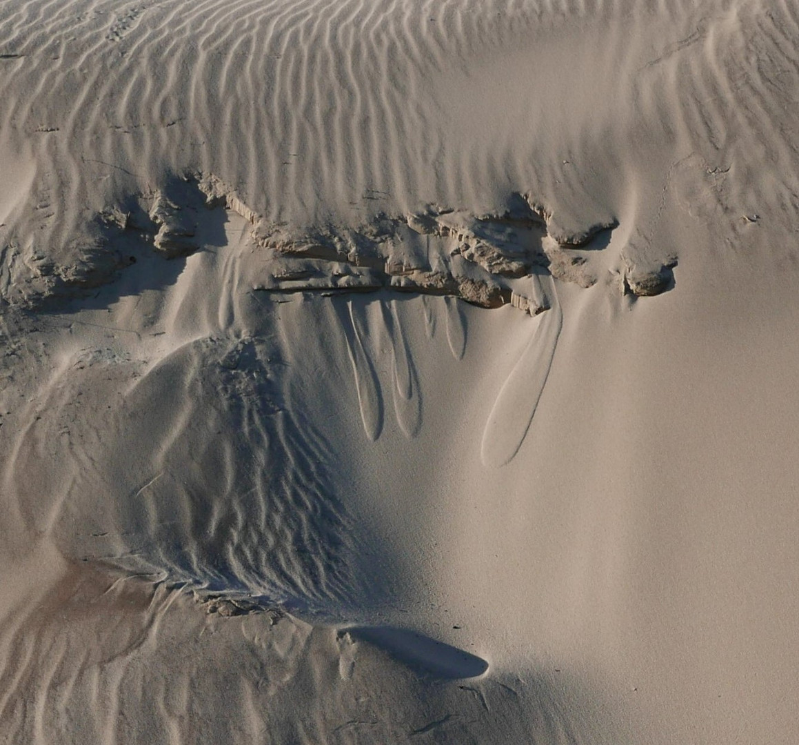 pour faire une jolie dune , tirer la langue