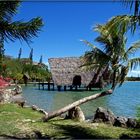 Pour le plaisir des yeux.... - Kuendu Beach Resort - Nouméa - Eine Augenweide…