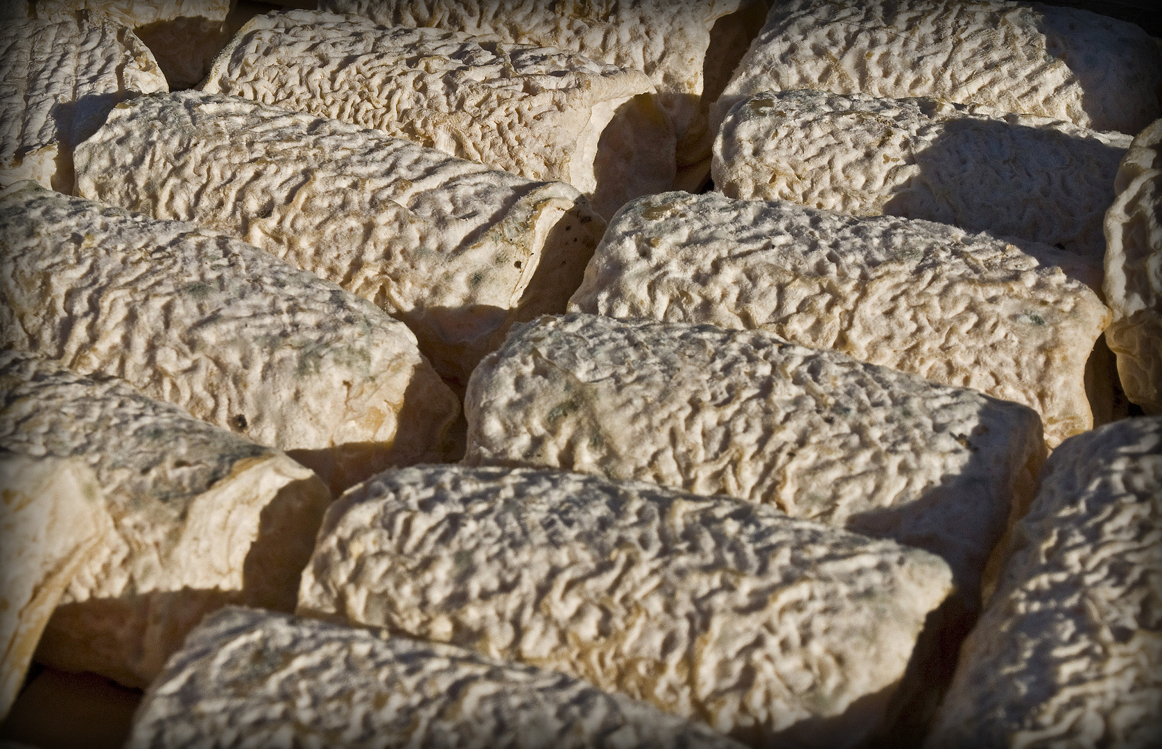 Pour les amateurs de fromage de chèvre