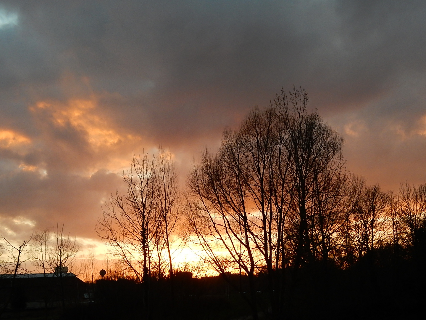 Pour qu'un ciel flamboie 4