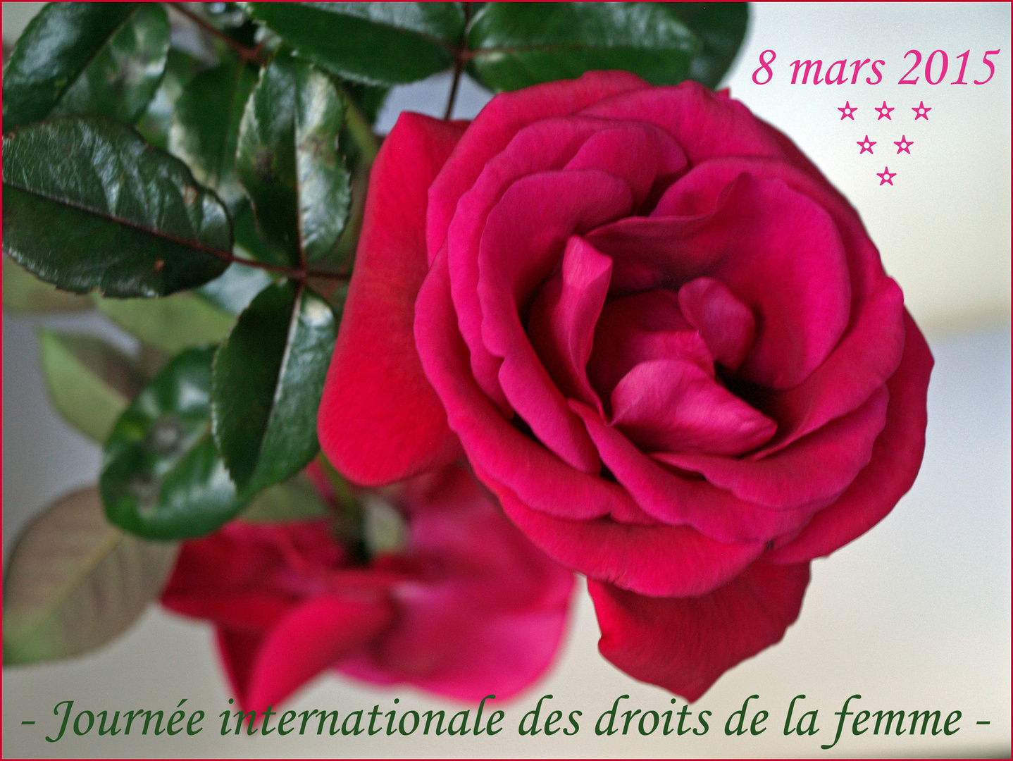 Pour toutes les femmes que je connais, toutes les femmes de FC et les autres… !