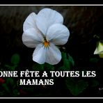 POUR TOUTES LES MAMANS