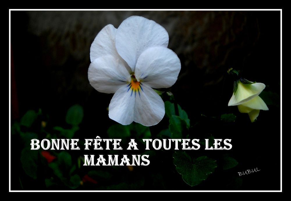 POUR TOUTES LES MAMANS