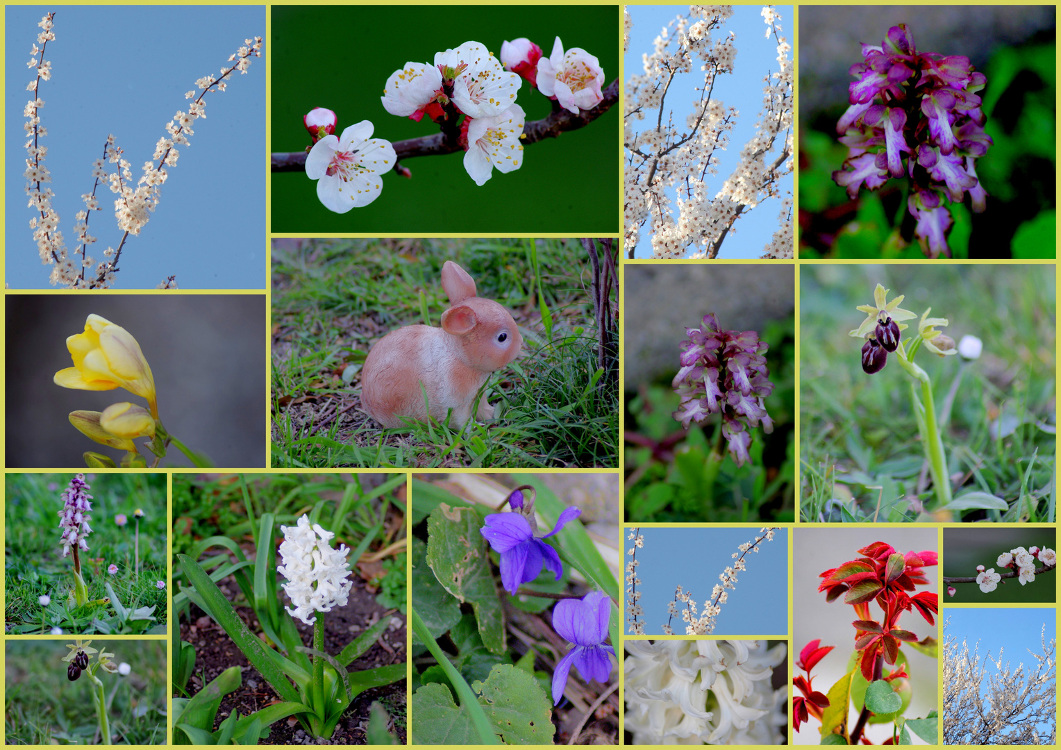 Pour vous, les fleurs de mon jardin ......