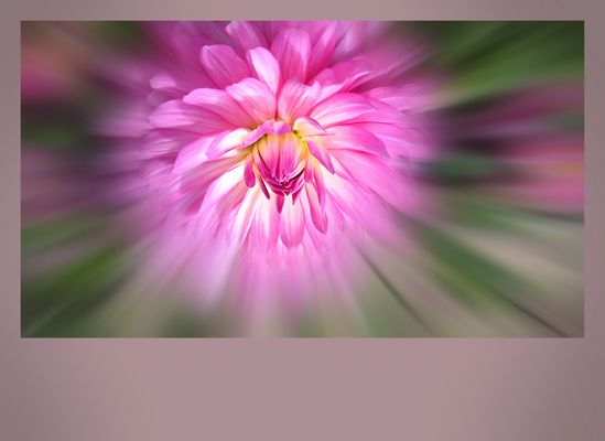 ... pouring warm light