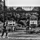 Pourquoi courir à Dol ?