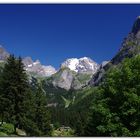 "pourtant que la montagne est belle ..."