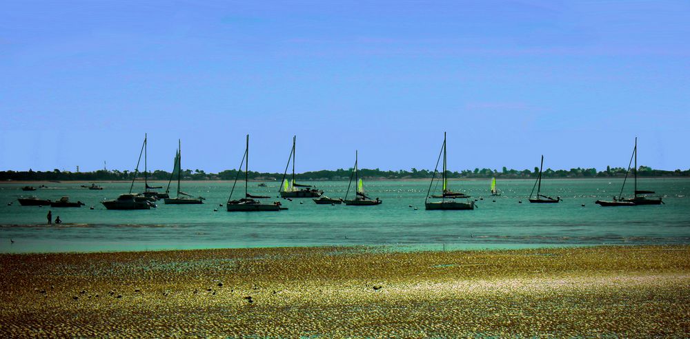 Poussière d'or sur Oléron