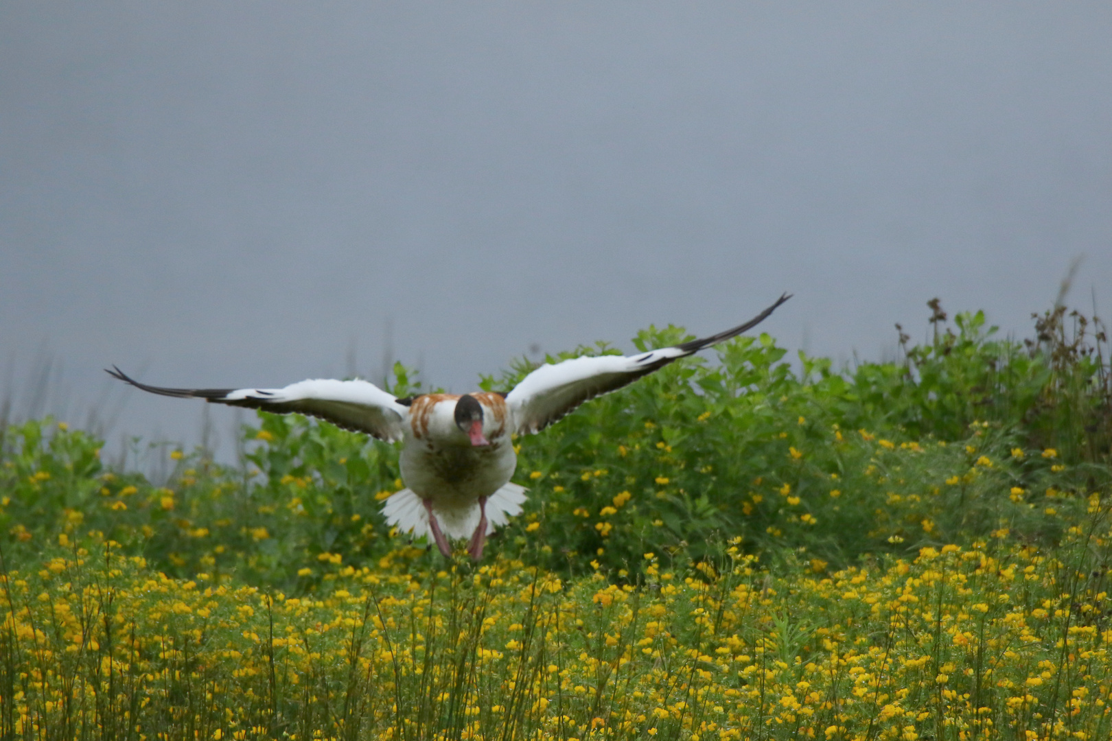 poussz-vous, j'arrive !