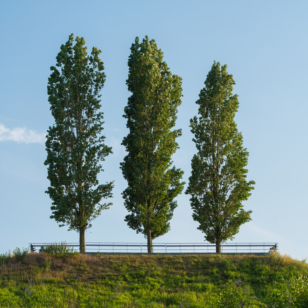 Povelberg / Pyramide Nordhorn