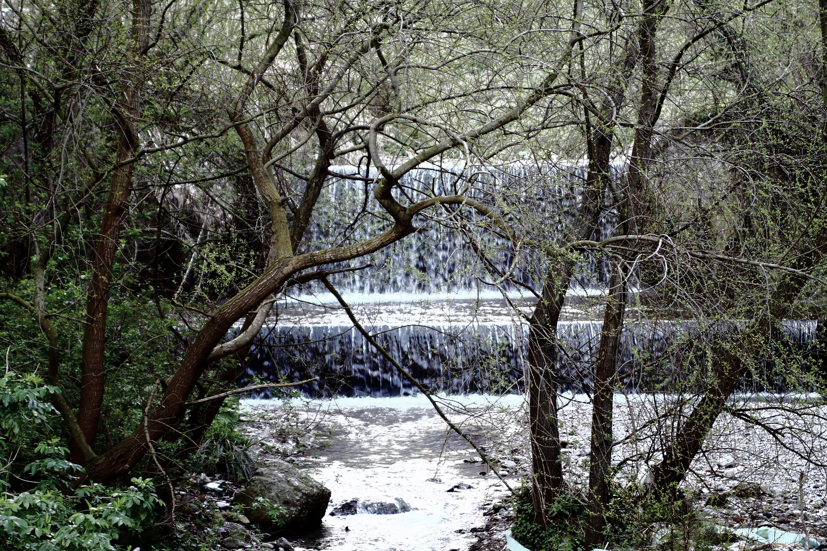 Povera natura