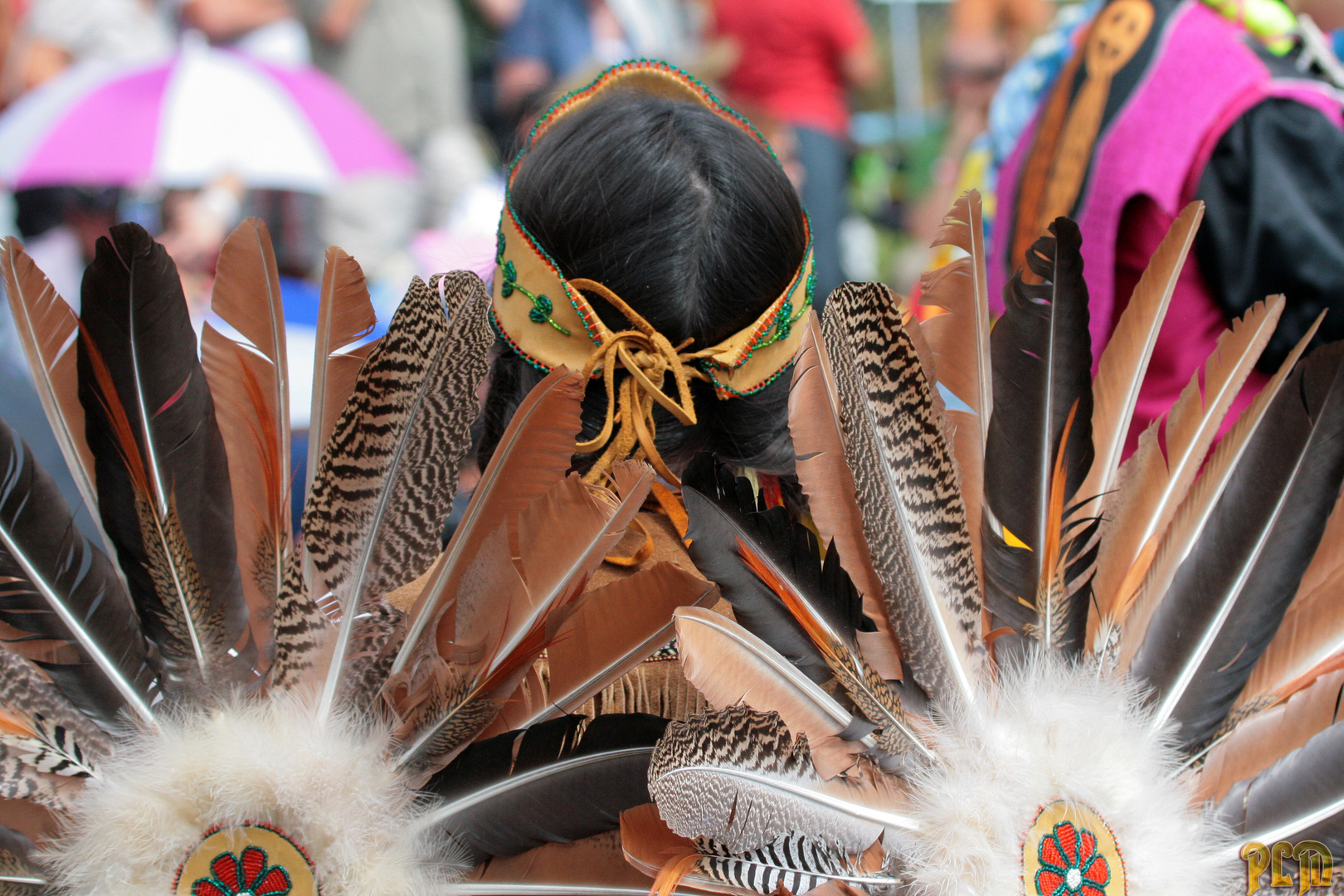 Pow Wow aout 2010