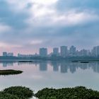 Powai lake