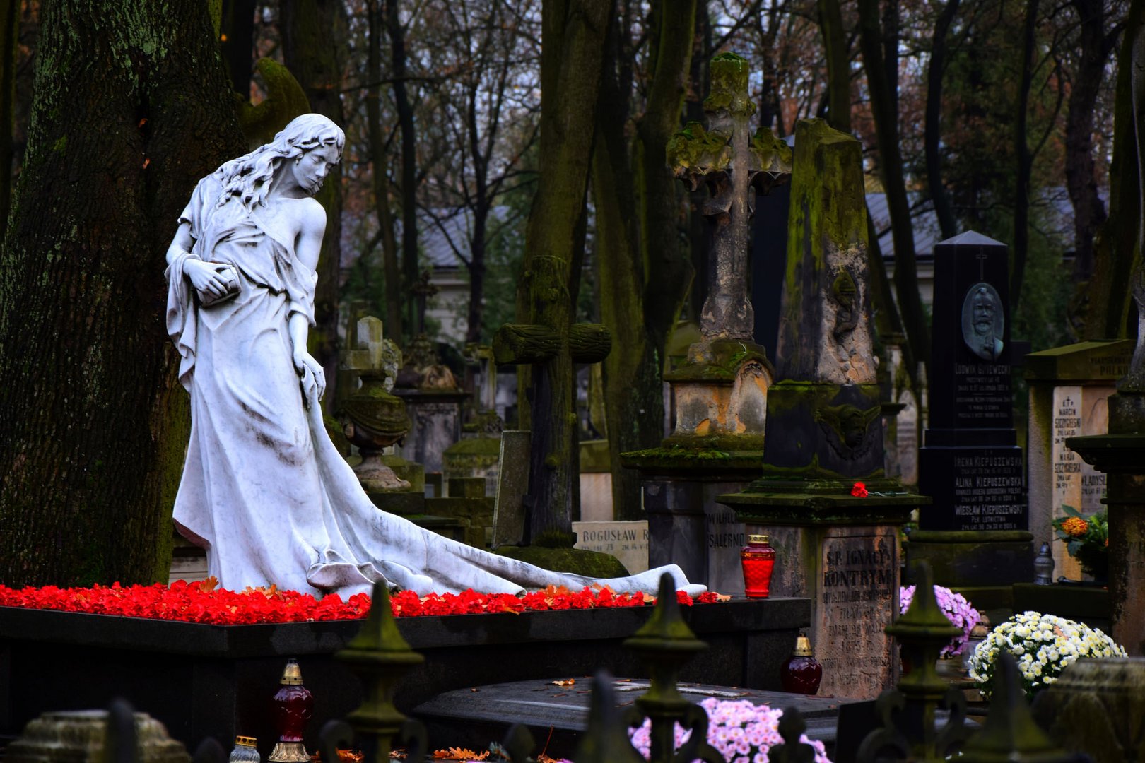 Powazki-Friedhof in Warschau