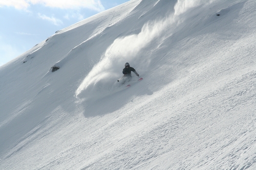 Powder