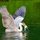 Power Bird tankt Energiespeicher auf